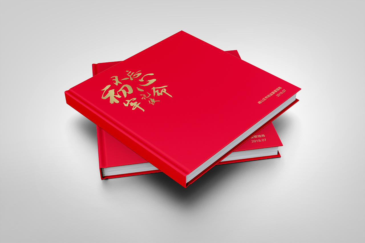 党建画册设计,政府单位画册设计