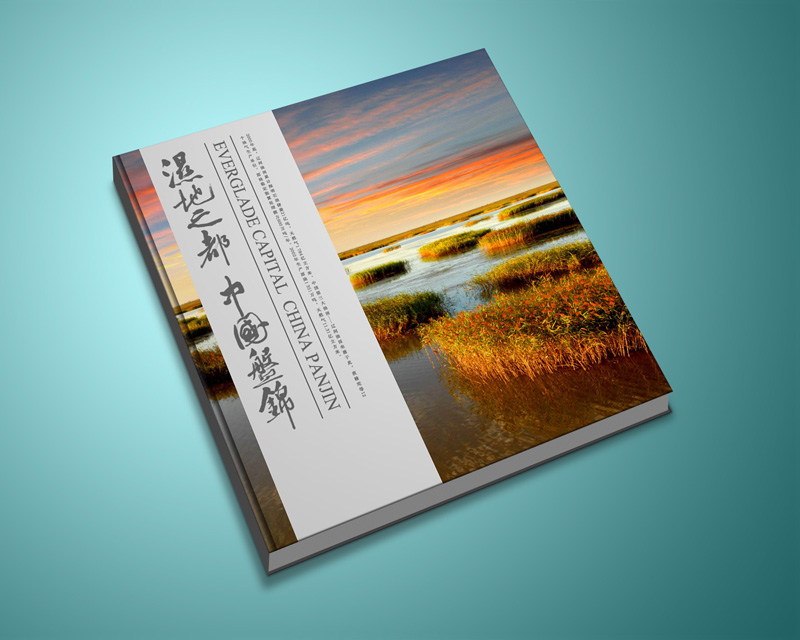 广告画册设计公司