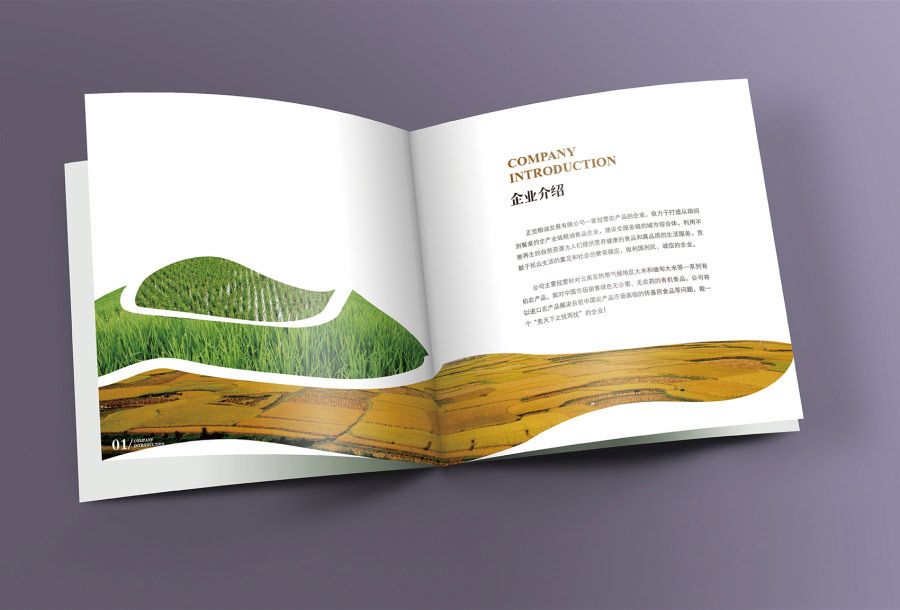 品牌画册设计公司
